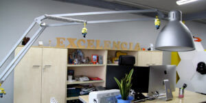 Excelencia Flexo Gigante